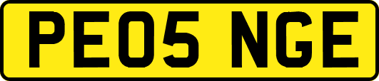PE05NGE