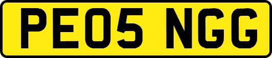 PE05NGG