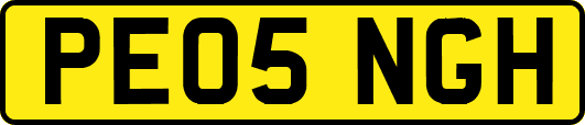 PE05NGH