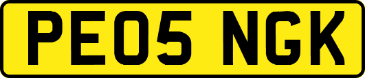 PE05NGK