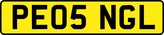 PE05NGL