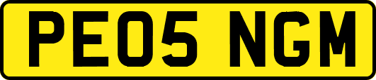PE05NGM