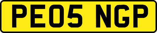 PE05NGP