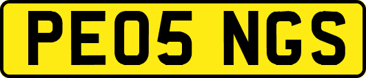 PE05NGS