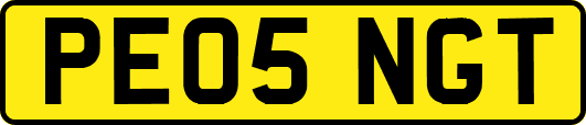 PE05NGT