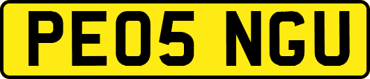 PE05NGU