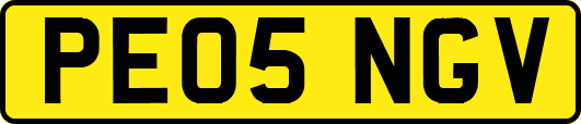 PE05NGV