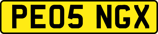 PE05NGX
