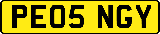 PE05NGY