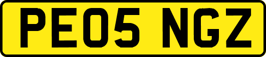 PE05NGZ