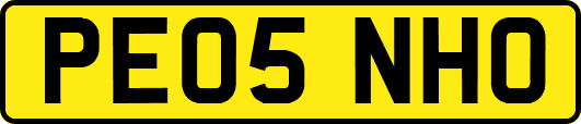PE05NHO