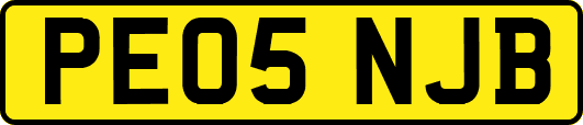 PE05NJB