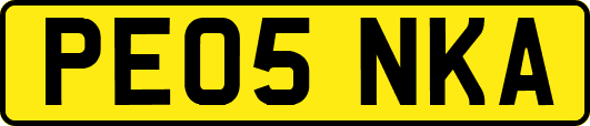 PE05NKA