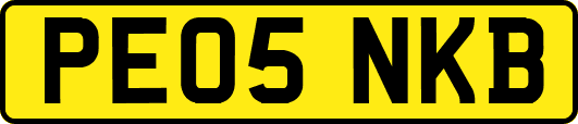 PE05NKB