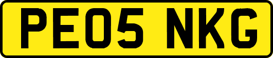 PE05NKG
