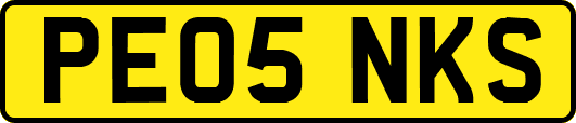 PE05NKS