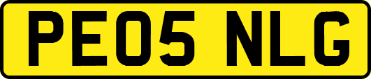 PE05NLG