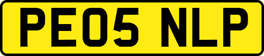 PE05NLP