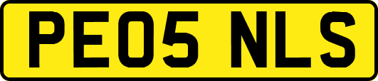 PE05NLS