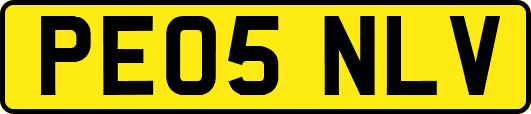 PE05NLV