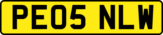 PE05NLW