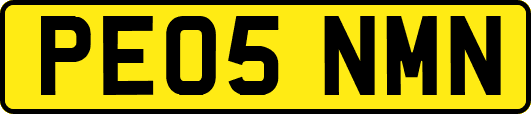 PE05NMN