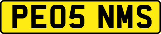 PE05NMS
