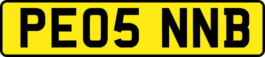 PE05NNB