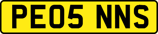 PE05NNS