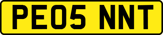 PE05NNT