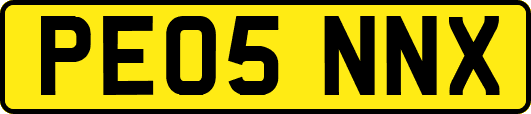 PE05NNX
