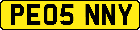PE05NNY