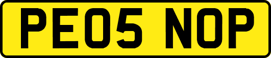 PE05NOP