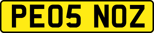 PE05NOZ
