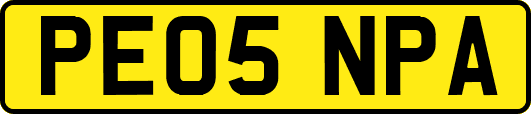 PE05NPA