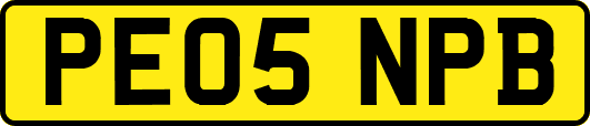 PE05NPB