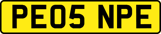 PE05NPE