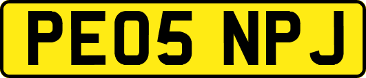 PE05NPJ