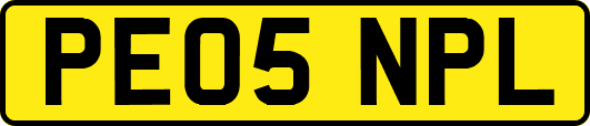 PE05NPL