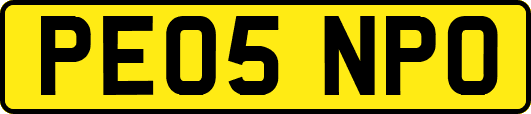 PE05NPO
