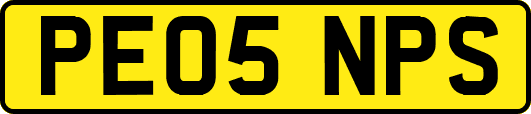 PE05NPS
