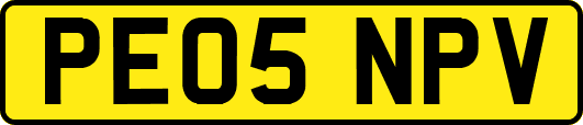 PE05NPV