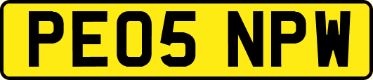 PE05NPW