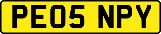 PE05NPY