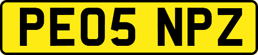 PE05NPZ
