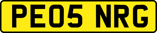 PE05NRG
