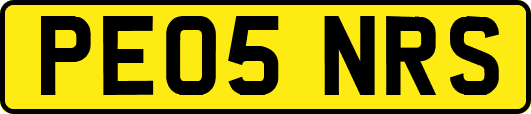 PE05NRS