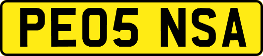 PE05NSA