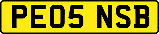 PE05NSB