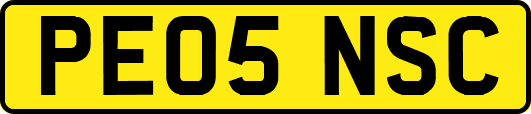 PE05NSC